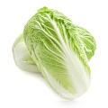 SUPER QUALITY FRESH CHINESE CABBAGE
